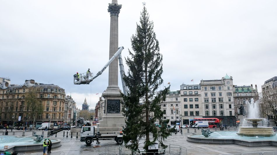 Mocked as ‘half dead,’ London’s annual Norwegian Christmas tree