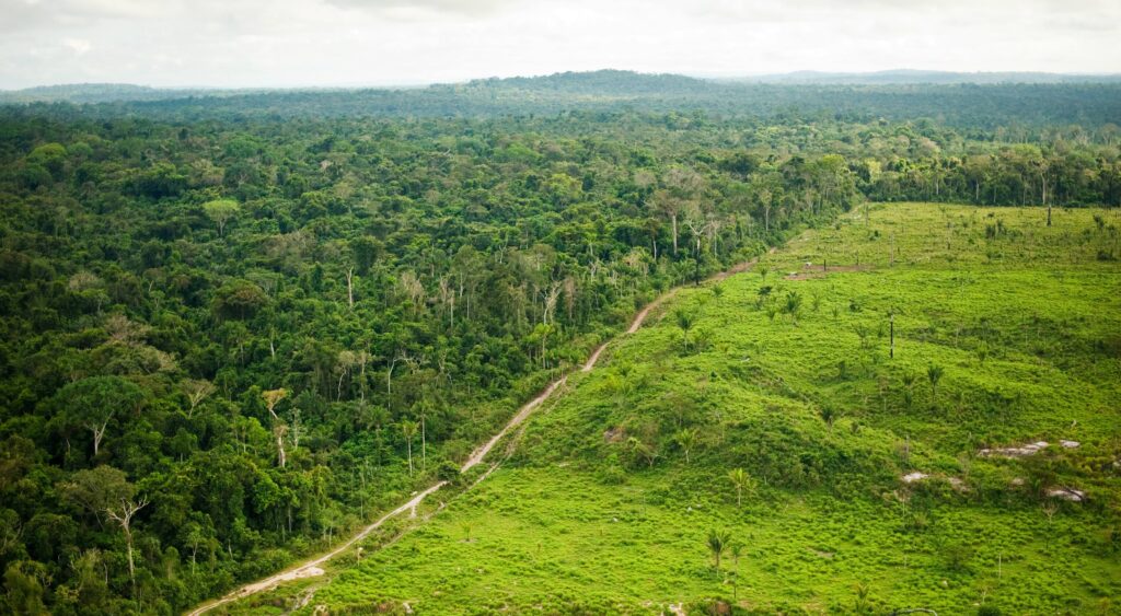 Massive ancient metropolis discovered in the Amazon