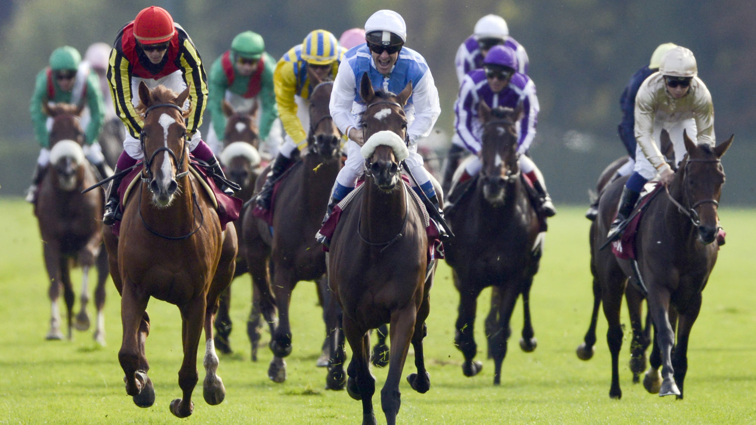 Racing into History: The Timeless Allure of Horse Racing