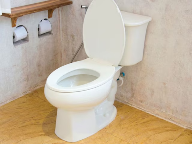 76-year-old man bitten by rat in Canadian toilet